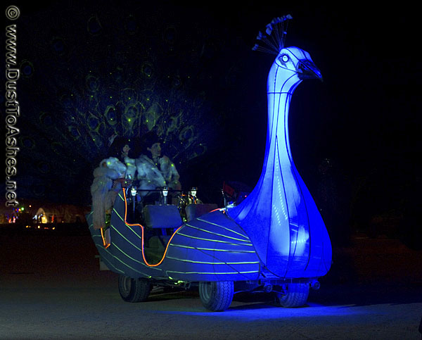 Night Photo of Peacock Mutant Vehicle