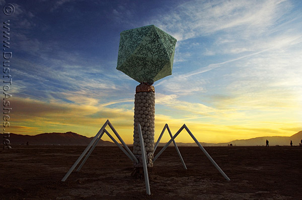 Burning Man Virus