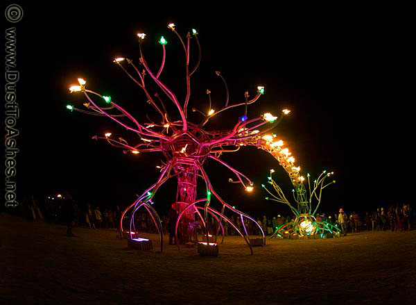 Burning Man night colors
