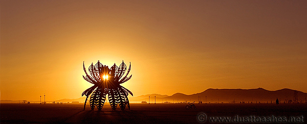 Laser of plasma cut metalic lotus during Burning Man sunrise