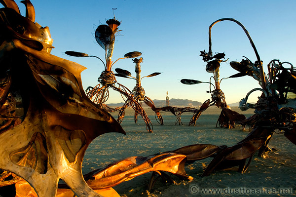 Burning Man Art Installation Mutopia by Flaming Lotus Girls from San Francisco