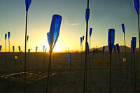 Burning Man blue bottles