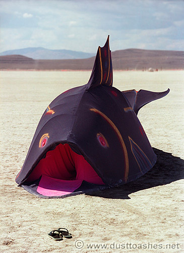Cetacea Chillosaurus by Steve Seliger Just the shoes left in front of the fish mouth