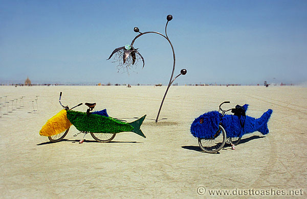 Two fish decorated bikes on playa