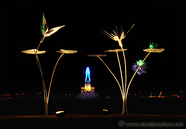 Night flowers at Burning Man