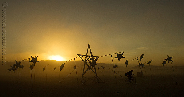 Stars blowing in the wind during sunset