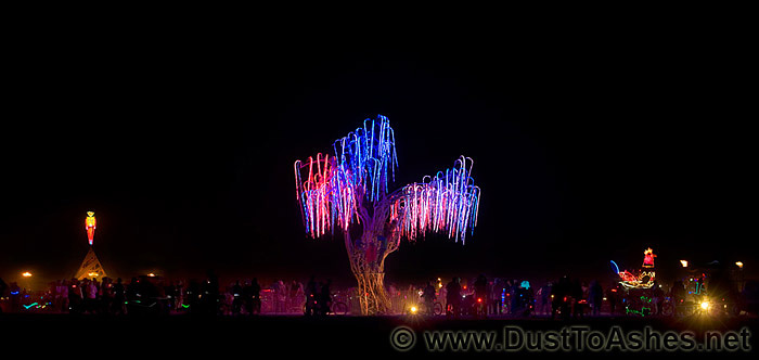 Night shot of the tree of souls