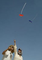 Hand made kites by DOTA
