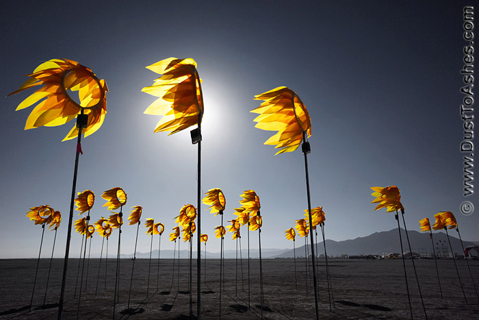 Paper sunflowers in the wind
