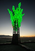 Green LED light effects of cube tree