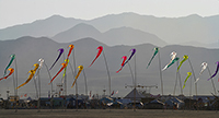 Shrims flags
