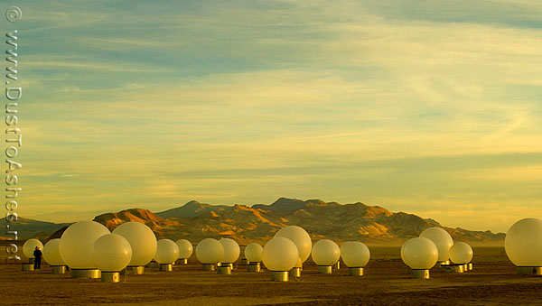 Burning Man inflatable balloon field