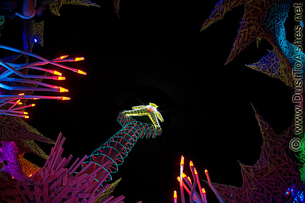 Burning Man Night Neons