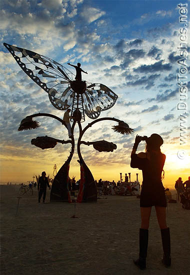 buttrfly wings metal art