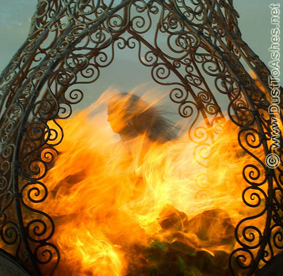 Chrimson Rose Burning Man