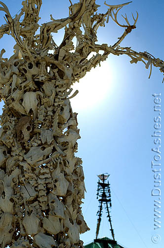 Dana Albany's Bone Tree Sculpture Skeleton of the man burned by arsonist