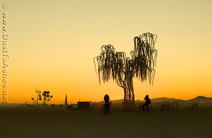 Silhouettes of tree art sculpture in desert art festival