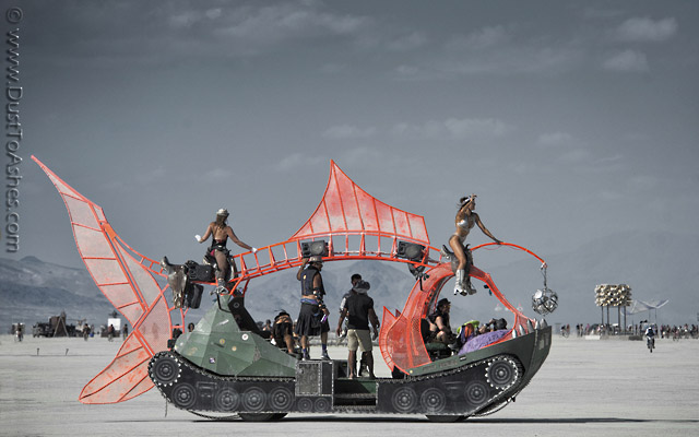 Fighting Fish | Dust to Ashes